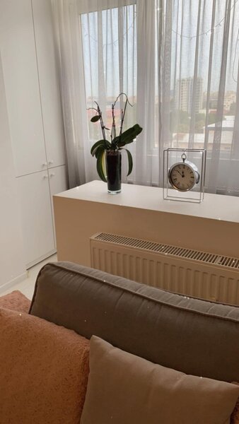 Stefan cel Mare, Obor